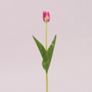 Цветок Тюльпан Flora пенка малиновый 72779