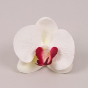 Головка Орхидеи Flora Фаленопсис из латекса белая с бордовой серединкой 23853