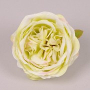 Головка Розы Flora английской кремово-зеленая 23742