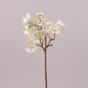 Цвет Яблони Flora белый 72547