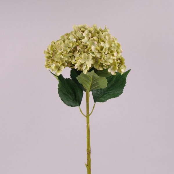 Квітка Гортензія Flora оливкова 75 см. 72293