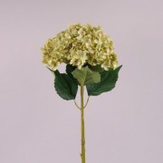 Цветок Гортензия Flora оливковый 75 см. 72293