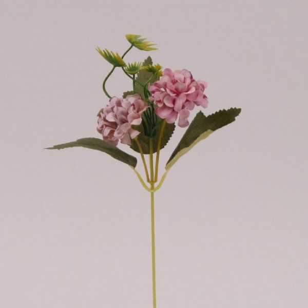 Квітка Бархотка Flora темно-рожева 72478