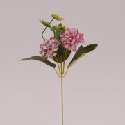 Цветок Бархотка Flora темно-розовый 72478