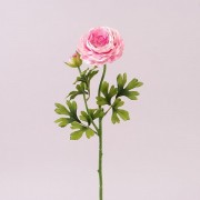 Цветок Ранункулюс Flora розовый 72799