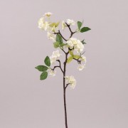 Цвет Яблони Flora белый 72548