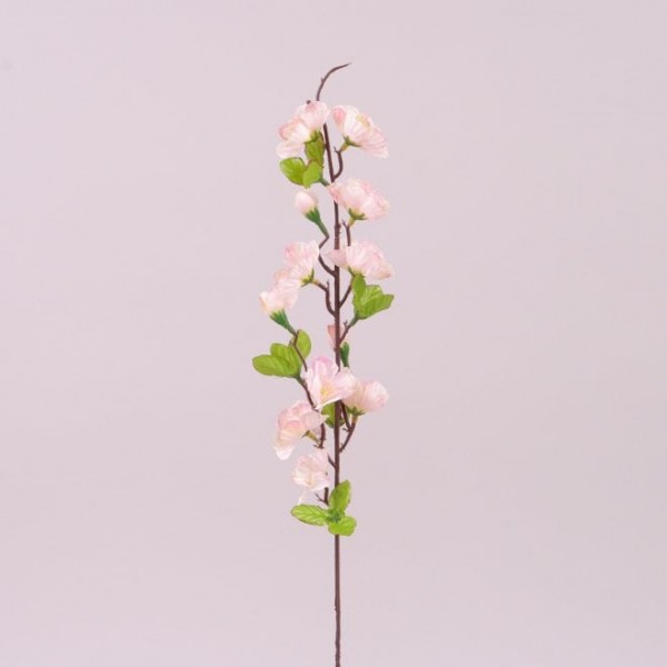 Цвет Яблони Flora бело-розовый 72268