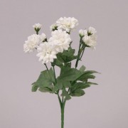 Букетик Flora Бархоток Білий 71121