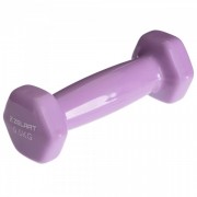 Гантель для фитнеса с виниловым покрытием Zelart TA-2777-0,5 Фиолетовый