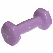 Гантель для фитнеса с виниловым покрытием Zelart TA-2777-1 1 шт. 1 кг Светло-фиолетовый