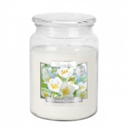 Свеча ароматическая Flora Цветущий жасмин 27556