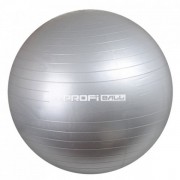 М'яч для фітнесу Profi M 0276-1 Сірий