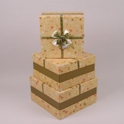 Комплект коробок для подарков 3 шт. Flora 41101