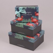 Комплект коробок для подарунків 3 шт. Flora 41130