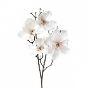 Ветка магнолии бело-розовая 86 см. Flora 12989