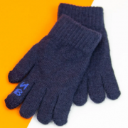 Перчатки для мальчиков для сенсорных телефонов L (арт. 21-7-17а) темно синий