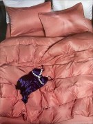 Комплект постельного белья Cotton home евро  розовый сатин арт. SX-1-18
