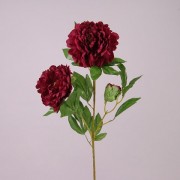 Цветок Пион бордовый Flora 73133