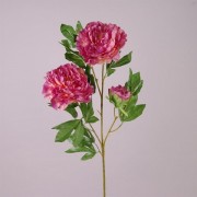 Цветок Пион персиково-фиолетовый Flora 73134