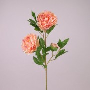 Цветок Пион персиковый Flora 73136