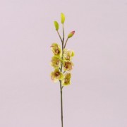 Цветок искусственный Цимбидиум зеленый Flora К15.066.50