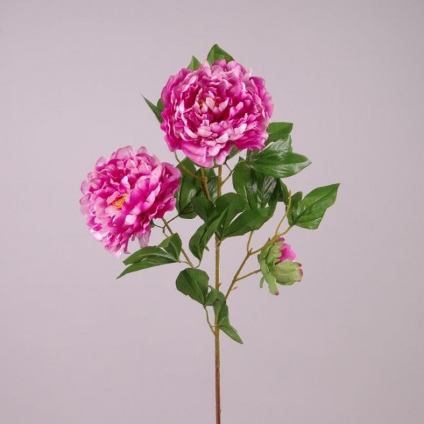 Квітка Півонія рожева Flora 73130