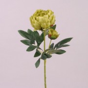 Цветок Пион зеленый Flora 73089