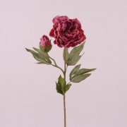 Цветок Пион темно-розовый Flora 73070