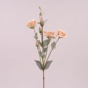 Цветок Эустома бежевый Flora 73050