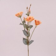 Цветок Эустома оранжевый Flora 73047
