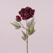 Цветок Пион бордовый  Flora 73066