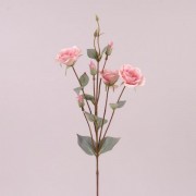 Цветок Эустома розовый Flora 73051