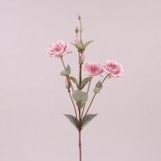 Цветок Эустома фиолетовый  Flora 73046