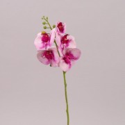 Цветок Фаленопсис из латекса розовый тигровый Flora 72525