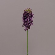 Цветок Гиацинт фиолетовый Flora 74991