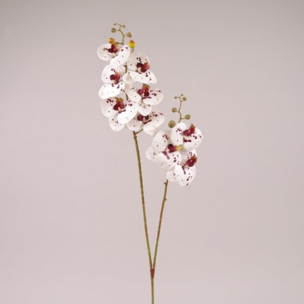 Цветок Фаленопсис из латекса белый тигровый Flora 73140