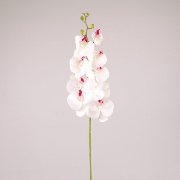 Цветок Фаленопсис из латекса белый с красной серединкой Flora 73181
