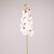 Цветок Фаленопсис из латекса белый с красной серединкой Flora 73181