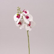 Цветок Фаленопсис из латекса белый с бордовой серединкой Flora 72526