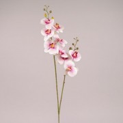 Цветок Фаленопсис из латекса розово-белый Flora 73138