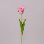 Цветок Тюльпан кремово-розовый Flora 70769