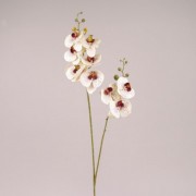 Цветок Фаленопсис из латекса кремовый тигровый Flora 73137