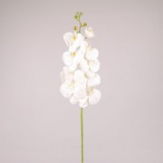 Цветок Фаленопсис из латекса белый Flora 73180