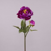 Цветок Пион фиолетовый Flora 70639