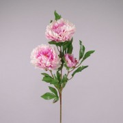 Цветок Пион бело-розовый Flora 70625