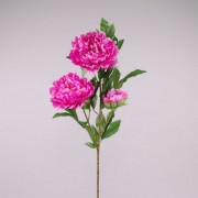 Цветок Пион темно-розовый  Flora 70628