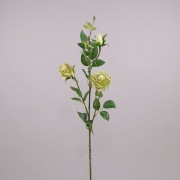Цветок Роза зеленый  Flora 70488