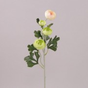 Цветок Камелия кремово-зеленый Flora 71026