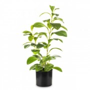 Искусственное растение в горшке 45 см. Flora 34155