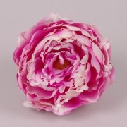 Головка Пиона кремово-розовая Flora 23731